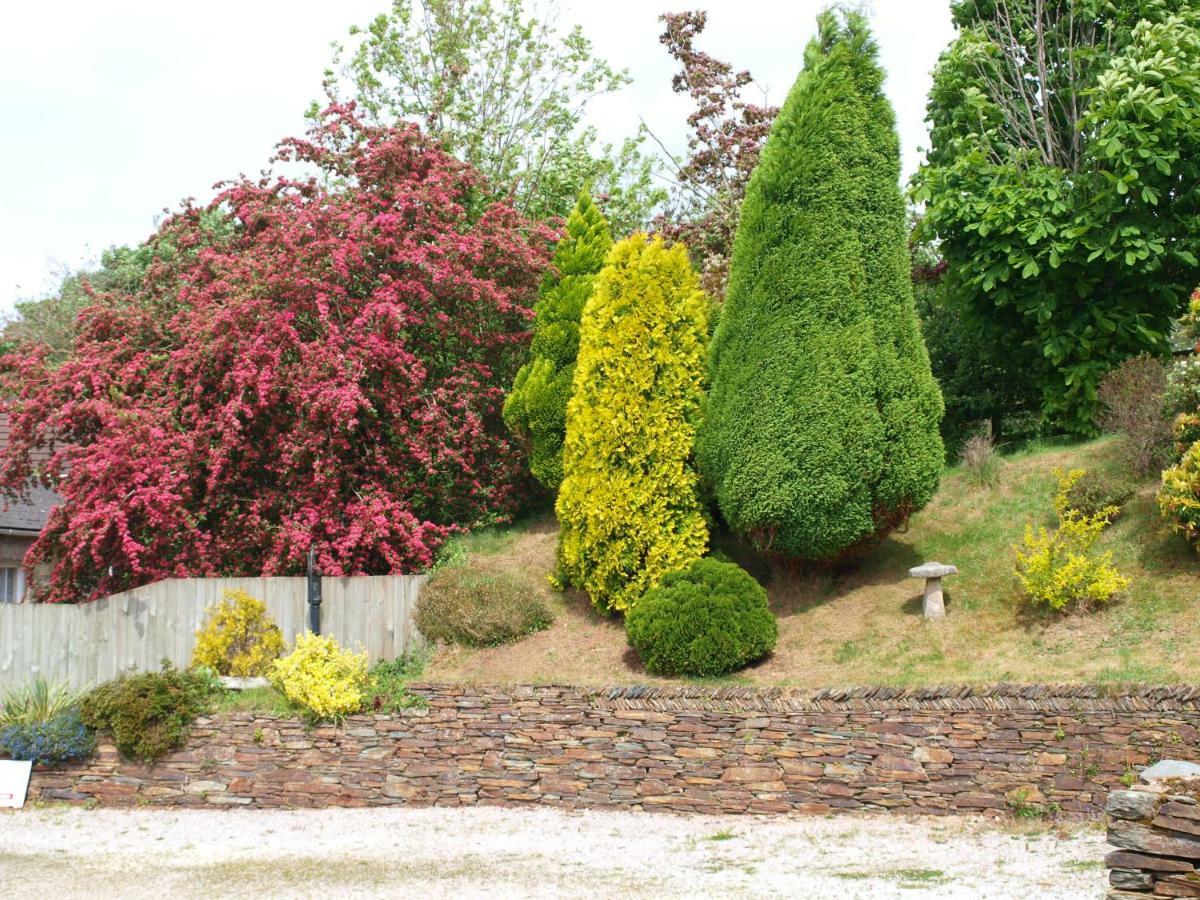 Polgreen Farm St Austell Ngoại thất bức ảnh