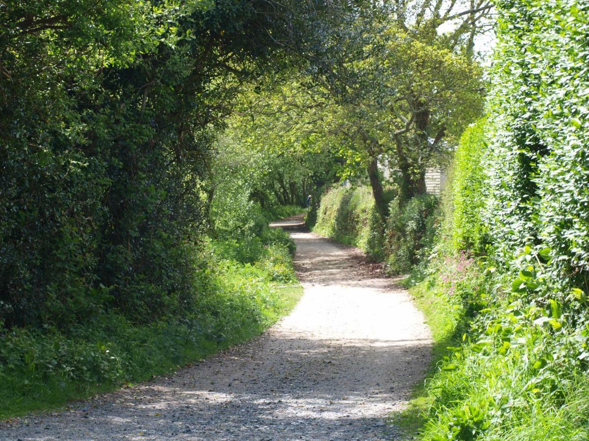 Polgreen Farm St Austell Ngoại thất bức ảnh